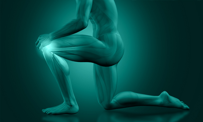 مشکلات زانو دکتر کامران غفرانی